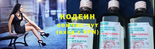 твердый Богородск