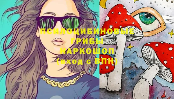 твердый Богородск