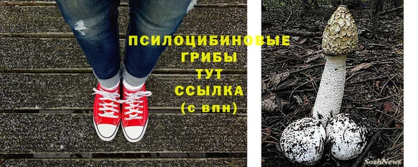 дживик Богданович