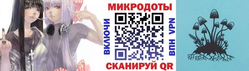 Галлюциногенные грибы Cubensis  Староминская 